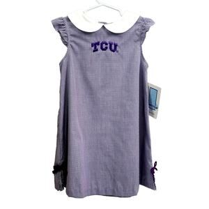 TCU Embroidered Purple Gingham A Line Dress 4T‎ NWT